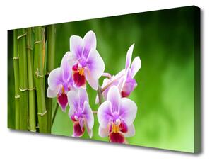 Quadro su tela Fiori Zen Orchidea Di Bambù 100x50 cm
