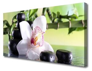 Quadro su tela Pietre di bambù dell'orchidea 100x50 cm