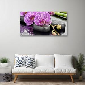 Quadro stampa su tela Orchidea Zen Orchidea Spa 100x50 cm