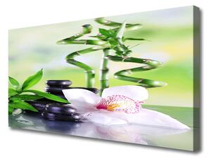 Quadro stampa su tela Orchidea Bamboo Zen Spa 100x50 cm