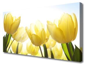 Quadro su tela Tulipani, fiori, raggi 100x50 cm