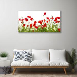 Quadro su tela Prato, papaveri, fiori, natura 100x50 cm