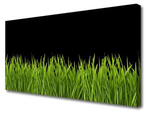 Quadro su tela Natura dell'erba verde 100x50 cm