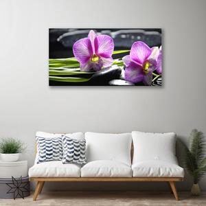 Foto quadro su tela Pietre Orchid Zen Spa 100x50 cm