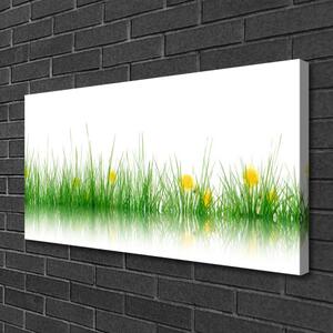 Quadro su tela Fiori di erba della natura 100x50 cm