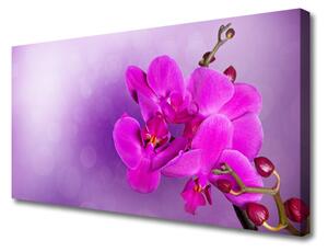 Quadro su tela Petali di fiori di un'orchidea 100x50 cm