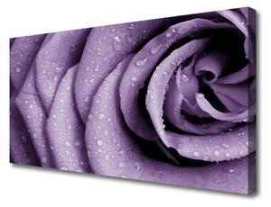 Foto quadro su tela Pianta di fiori di rosa 100x50 cm