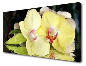 Quadro su tela Petali di fiori di un'orchidea 100x50 cm