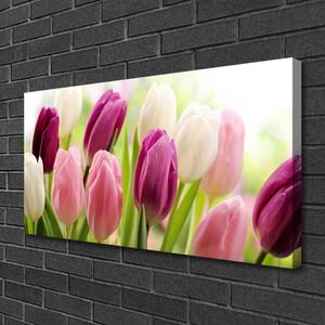 Quadro su tela Tulipani Fiori Natura Prato 100x50 cm