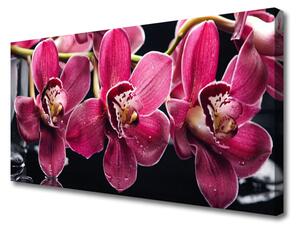 Foto quadro su tela Fiori, orchidea, natura 100x50 cm