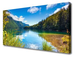 Stampa quadro su tela Foresta Montagna Natura Lago 100x50 cm