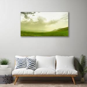Quadro su tela Vista della natura del prato verde 100x50 cm