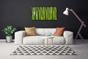Quadro su tela Foresta di bambù Germogli di bambù 100x50 cm