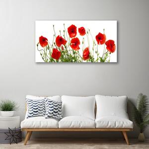Quadro stampa su tela Papaveri, fiori, natura 100x50 cm