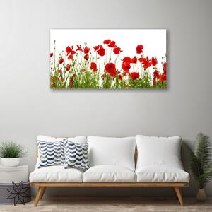Quadro su tela Papaveri, fiori, natura 100x50 cm