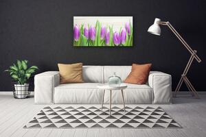 Quadro stampa su tela Tulipani, fiori, natura 100x50 cm