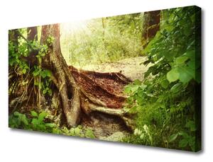 Quadro su tela Albero Stock Natura Foresta 100x50 cm