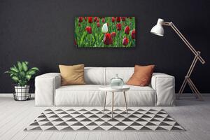 Foto quadro su tela Tulipani, fiori, natura 100x50 cm