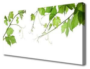 Quadro su tela Rami, foglie, natura, fiori 100x50 cm