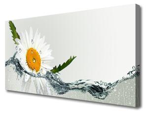 Quadro su tela Margherita in acqua Pianta 100x50 cm