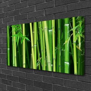 Quadro su tela Foresta di bambù Natura di bambù 100x50 cm