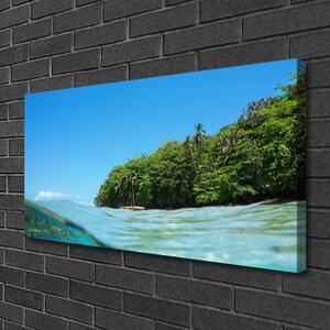 Quadro su tela Paesaggio dell'albero del mare 100x50 cm