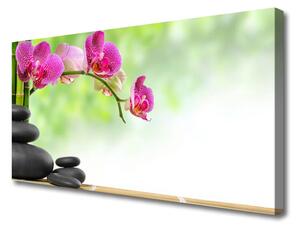 Quadro su tela Germogli di bambù Kamie Zen Spa 100x50 cm