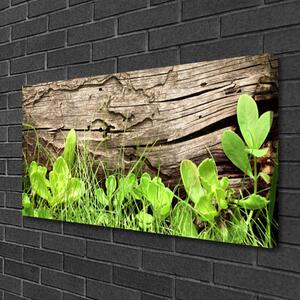 Quadro su tela Fiori di foglie di erba 100x50 cm