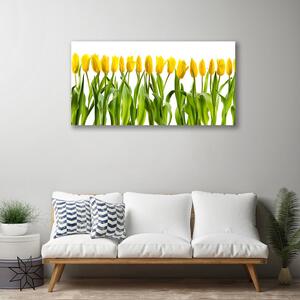 Quadro su tela Tulipani, fiori, natura 100x50 cm