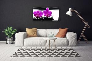 Quadro su tela Fiori di orchidea della natura 100x50 cm