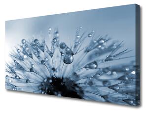 Quadro su tela Gocce di fiori di tarassaco 100x50 cm
