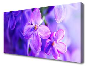 Quadro su tela Fiori viola della natura 100x50 cm