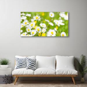 Quadro su tela Pianta di fiori di margherita 100x50 cm