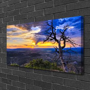 Foto quadro su tela Albero al tramonto 100x50 cm