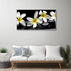 Quadro su tela Bellissimo fiore di Plumeria 100x50 cm