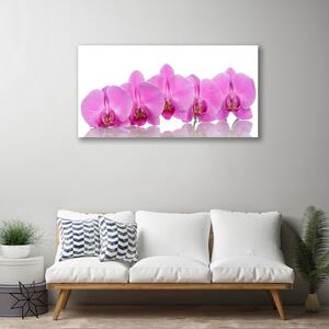 Quadro su tela Fiori di orchidea rosa 100x50 cm