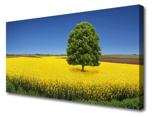 Quadro su tela Prato, albero, natura, campo 100x50 cm