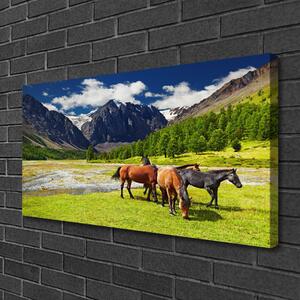 Quadro su tela Montagne, alberi, cavalli, animali 100x50 cm