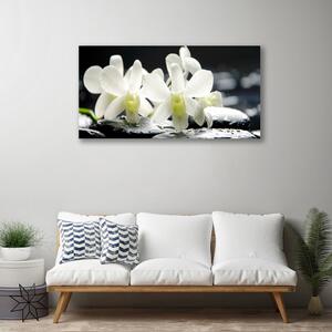Quadro su tela Pietre, fiori di orchidea 100x50 cm
