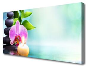 Quadro su tela Orchidea dell'acqua della natura 100x50 cm