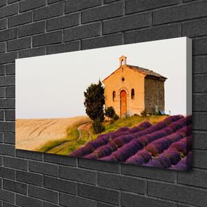Quadro su tela Campo del paesaggio 100x50 cm