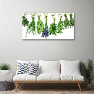 Quadro su tela Petali di fiori di erbe 100x50 cm