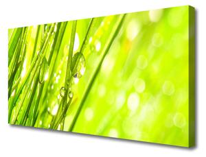 Quadro su tela Natura Gocce d'erba 100x50 cm