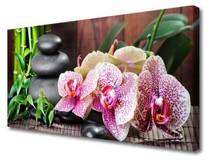 Quadro su tela Centro termale dell'orchidea di bambù 100x50 cm