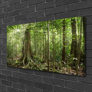 Quadro su tela Natura della foresta Alberi della giungla 100x50 cm