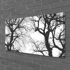 Quadro su tela Alberi della natura in bianco e nero 100x50 cm