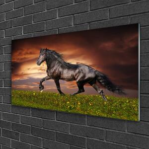 Quadro di vetro Cavallo nero Animali da prato 100x50 cm