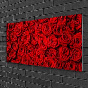 Quadro in vetro Rose per il muro 100x50 cm