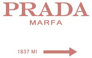 Illustrazione Prada marfa peach, Finlay & Noa