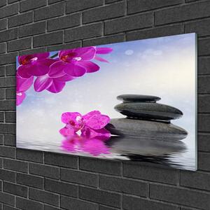 Quadro in vetro Fiori Pianta di orchidea 100x50 cm